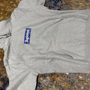 Supreme Grey and blue bandana logo firs snug